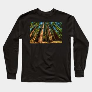 Armstrong National Park Redwoods Filtered Sun Long Sleeve T-Shirt